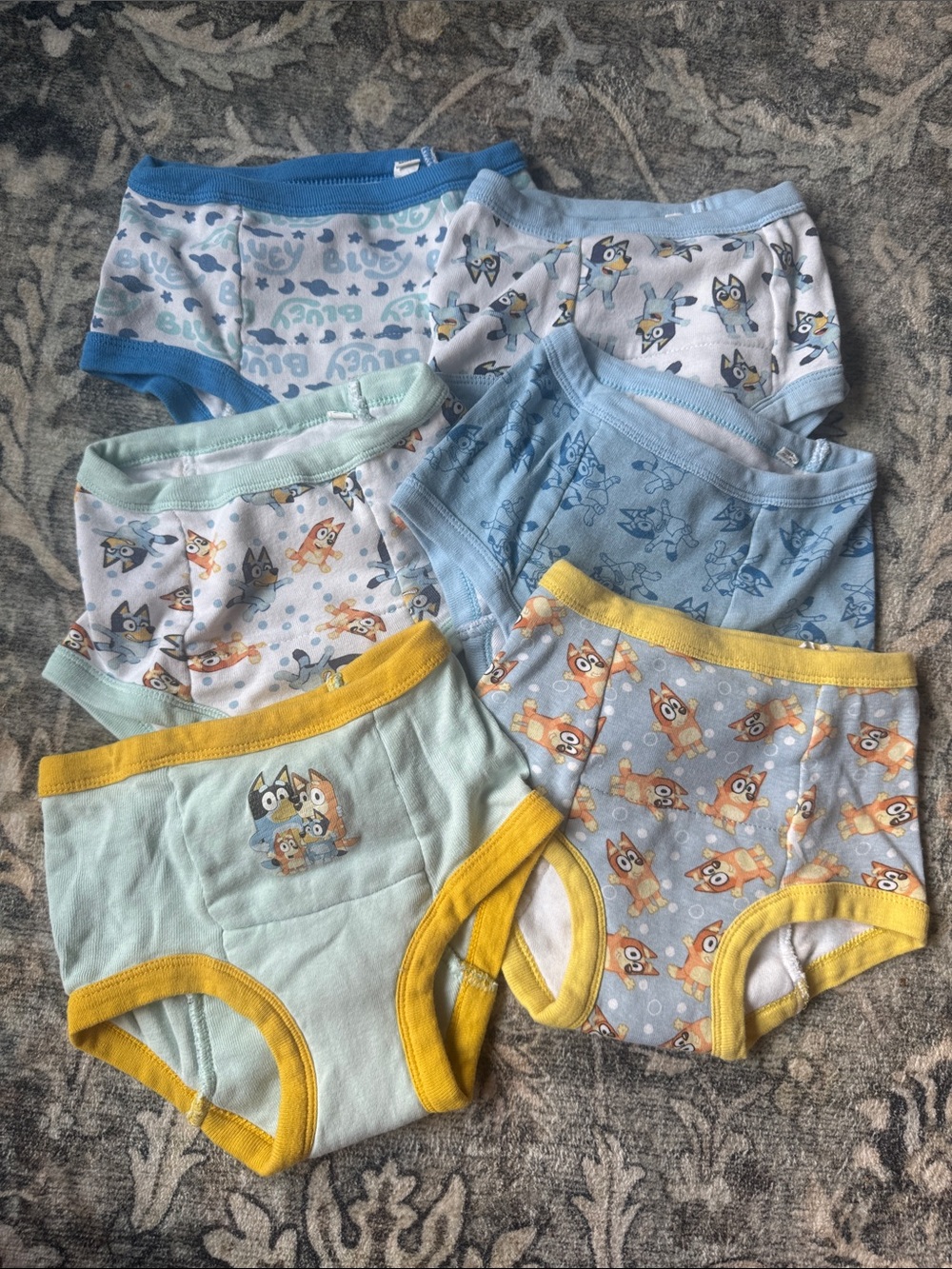 Bluey Boys Training Underwear